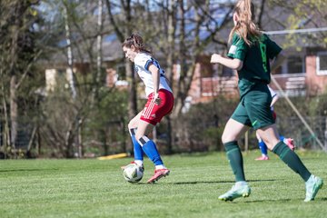 Bild 148 - wBJ Hamburger SV - WfL Wolfsburg : Ergebnis: 2:1